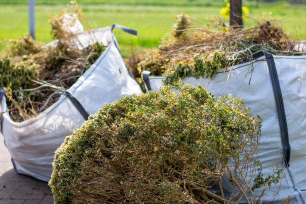 Best Electronics Removal Services  in Gamewell, NC